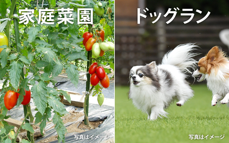 富山市本郷中部 分譲地 家庭菜園、ドッグランイメージ画