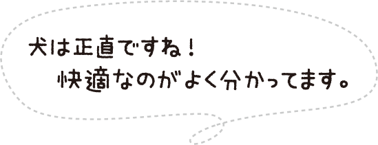 犬は正直ですね!快適なのがよく分かってます。