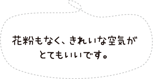 花粉もなく、きれいな空気がとてもいいです。