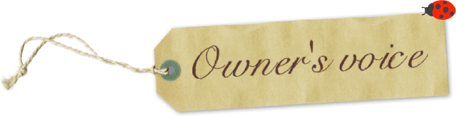 Owner's voice
